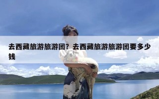 去西藏旅游旅游团？去西藏旅游旅游团要多少钱