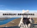 西藏旅游能去吗？西藏旅游能去吗现在