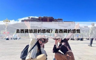 去西藏旅游的感叹？去西藏的感慨