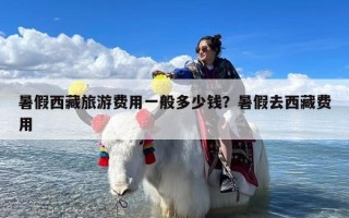 暑假西藏旅游费用一般多少钱？暑假去西藏费用