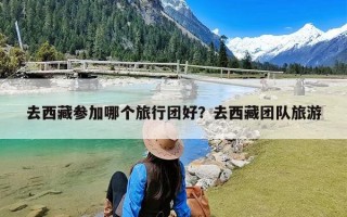 去西藏参加哪个旅行团好？去西藏团队旅游