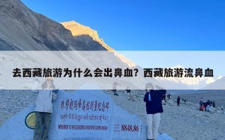 去西藏旅游为什么会出鼻血？西藏旅游流鼻血