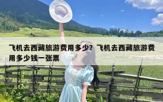 飞机去西藏旅游费用多少？飞机去西藏旅游费用多少钱一张票