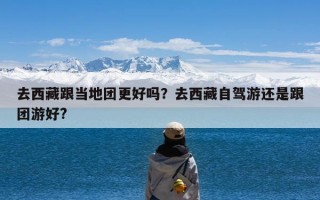 去西藏跟当地团更好吗？去西藏自驾游还是跟团游好?