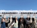 一月份的拉萨好耍不？一月份的拉萨是什么样的