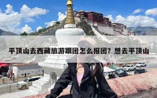 平顶山去西藏旅游跟团怎么报团？想去平顶山