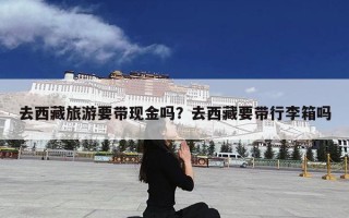 去西藏旅游要带现金吗？去西藏要带行李箱吗