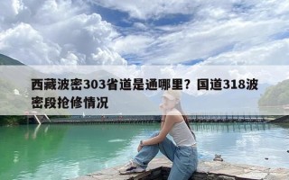 西藏波密303省道是通哪里？国道318波密段抢修情况