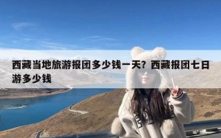 西藏当地旅游报团多少钱一天？西藏报团七日游多少钱