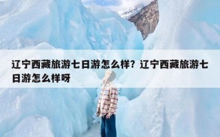 辽宁西藏旅游七日游怎么样？辽宁西藏旅游七日游怎么样呀