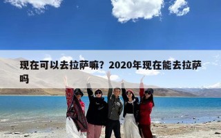 现在可以去拉萨嘛？2020年现在能去拉萨吗