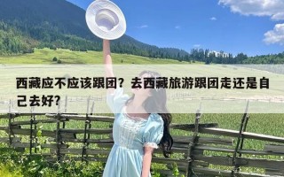 西藏应不应该跟团？去西藏旅游跟团走还是自己去好?