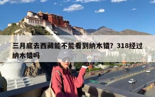 三月底去西藏能不能看到纳木错？318经过纳木错吗