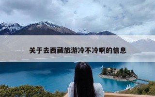 关于去西藏旅游冷不冷啊的信息